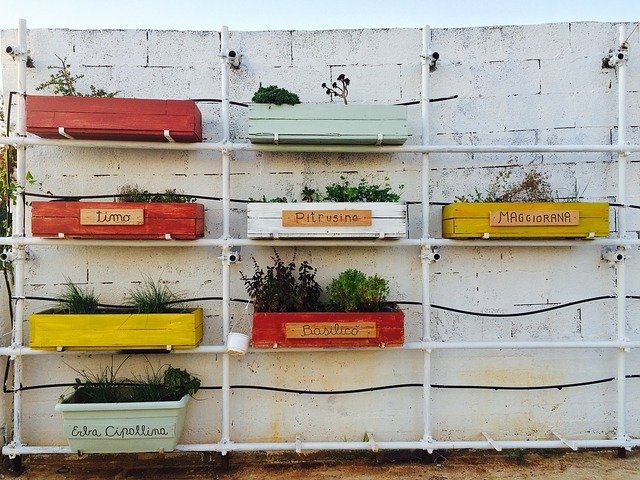 jardineras con plantas aromáticas